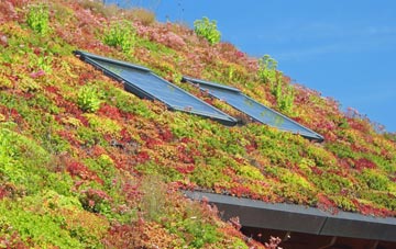 Aley living roof systems